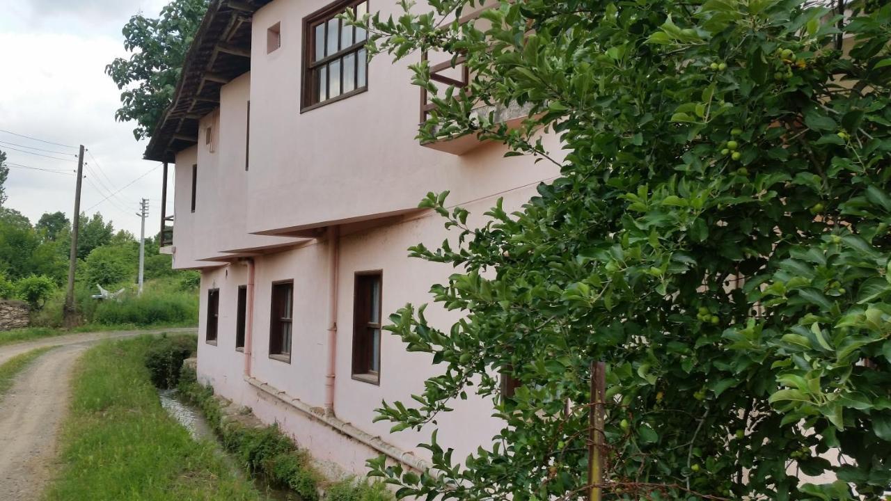 Elmas Pansiyon Karacasu  Zewnętrze zdjęcie